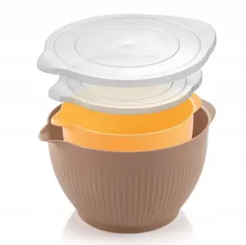 Set ena plastike Tescoma Delicia, 7.6L, me kapak, transparente