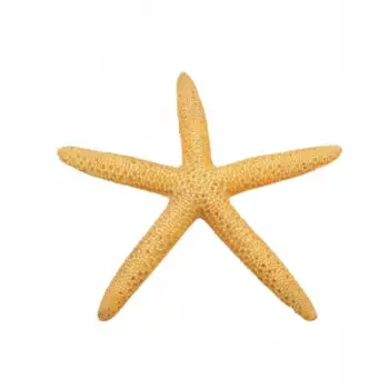 Dekor akvariumi Aqua Natura Yellow Starfish, 11cm, e verdhë
