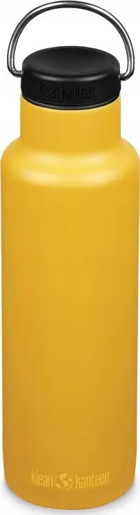 Filxhan me infuzer Gray Dinosaur, 400ml, xham, gri