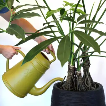 Lotë për ujitje Capi Europe Lungo, 12L, plastikë e riciklueshme, curry e verdhë