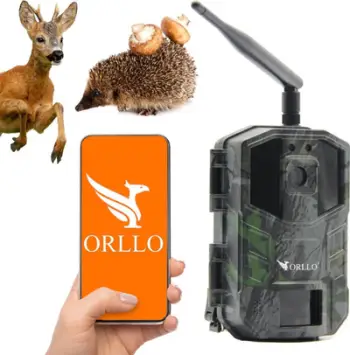 Kamerë pylli Orllo GSM 4G LTE, sensor lëvizjeje, kartë 64GB, kamuflazh
