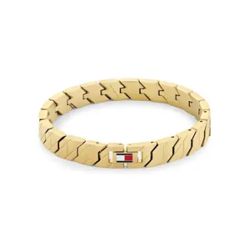 Byzylyk për meshkuj Tommy Hilfiger 2790620