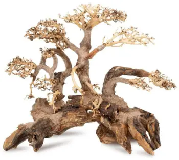 Dekor akvariumi TerraNatura Sinking Bonsai Tree No. 59, 80 x 50 cm, kafe natyrale