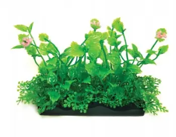 Bimë dekorative akuariumi Aqua Natura, plastike, 10 cm, jeshile