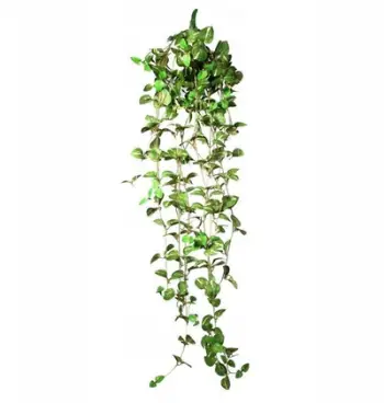 Dekor terrariumi Terra Natura Hanging Plant medium, 62cm, bimë artificiale, jeshile