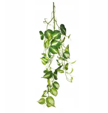 Dekor terrariumi Terra Natura Hanging Plant, 94cm, mesatare, jeshile