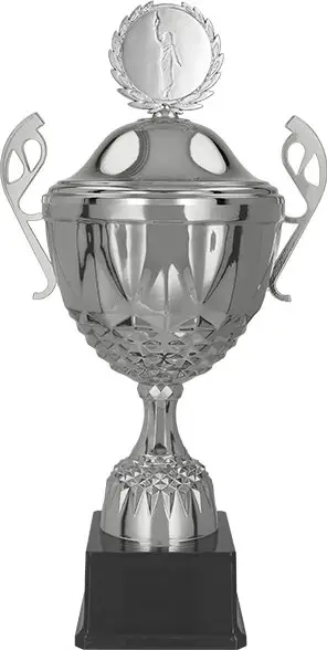 Kupë trofeu MUFAS, metal, 35cm, argjendi