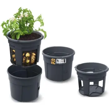 Vazo për patate Prosperplast Potato Grower IZIE400, plastike, antracit
