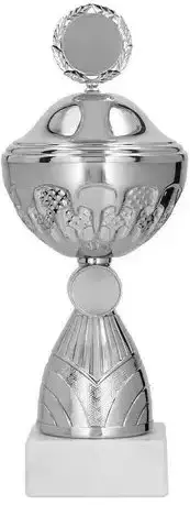 Trofe metalik Silver 9307/AP 1, 31cm, me kapak, argjendtë