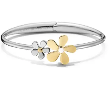 Byzylyk Tommy Hilfiger Bangle TH2700933