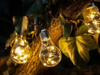 Drita dekorative diellore Solar Garden Garland, 10 llampa LED, 5m, dritë e ngrohtë
