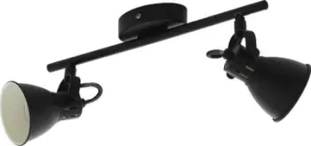 Reflektor tavanor Netlighting Seras 2, 2xGU10, i zi mat