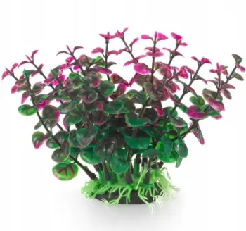 Bimë dekorative për akuarium Peperomia, plastike, 12 cm, jeshile vjollcë