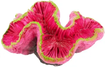 Dekor akuariumi Fuchsia Anemone, 9 cm, rozë me jeshile