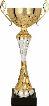 Kupë trofe metalike T-M 7124B, 36cm, gold silver, me bazë të zezë