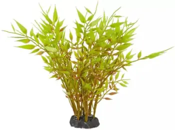 Bimë dekorative akuariumi Aqua Natura, plastike, 20 cm, jeshile