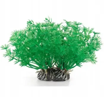 Bimë dekorative për akuarium Aqua Natura, plastike, 10 cm, e gjelbër