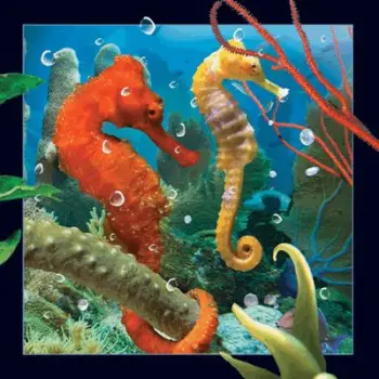 Kartolinë 3D Clear Creations Seahorse, efekt 4D, shumëngjyrëshe
