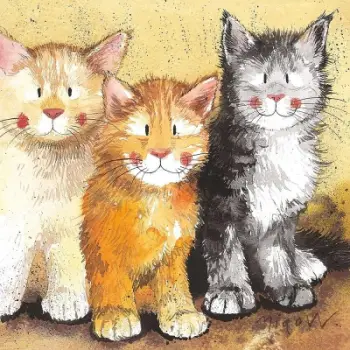 Set nënfilxhanësh dhe nën tenxheresh Teka Tassenuntersetzer C18 Three Cats, model mace, shumëngjyrësh