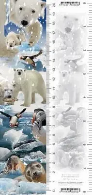Shenjues libri Worth Keeping 3D Arctic, stone paper, me aplikacion 4D, shumëngjyrësh