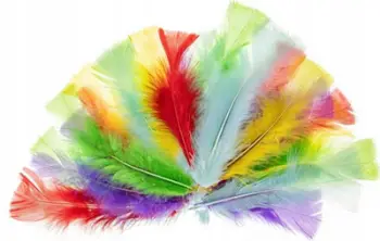 Pupla dekorative Brewis Pastel Turkey Feathers, 10-15 cm, shumëngjyrëshe