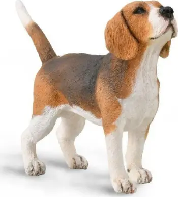 Figurine lodër CollectA Beagle, plastike, shumëngjyrëshe