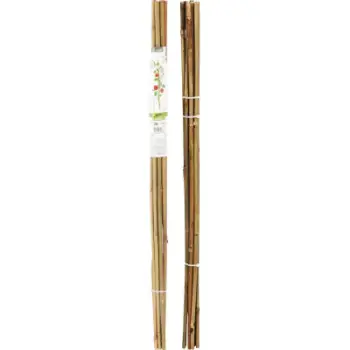 Shkopinj mbështetës për lule, bambu 116cm, set 10 copë, natyralë