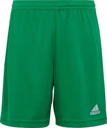 Shorce futbolli adidas Entrada 22 Jr IC7410, fëmijë, të gjelbra