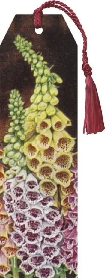Shenjues libri Skona Ting Foxglove, karton, me shirit bordo