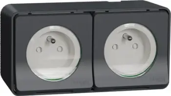 Prizë dyfishe Schneider Electric, 2P 16A, montim sipërfaqësor, gri