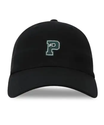Kapelë PUMA Wardrobe ESS Graphic Dad Cap 026155 25, verë pranverë, navy