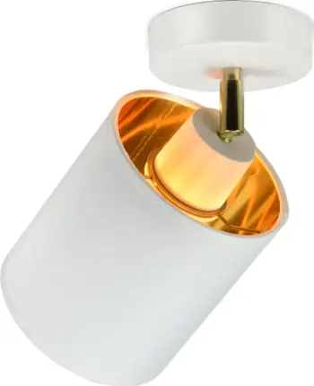 Aplike muri tavani Adviti AD-LD-6269WE27M, E27, 60W, e bardhë