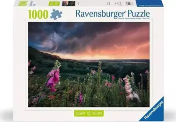 Puzzle Ravensburger Nature Edition A Storm Is Coming In, 1000 pjesë, për të rritur
