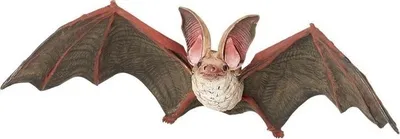 Figurë lodër PAPO Wild Animal Kingdom Bat, PVC, shumëngjyrëshe - 1