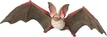 Figurë lodër PAPO Wild Animal Kingdom Bat, PVC, shumëngjyrëshe