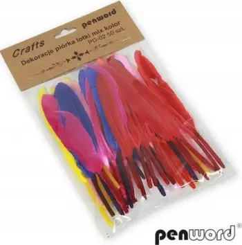 Pendë dekorative Penword Feathers Quills Mix, 10-15cm, set 50 copë, shumëngjyrëshe