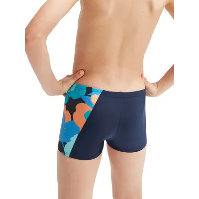 Pamja 1