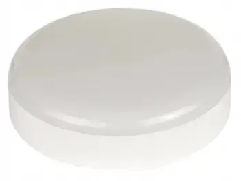 Ndriçues tavani LED Osram LEDVANCE, rrumbullakët 20cm, 19W, dritë e bardhë neutrale