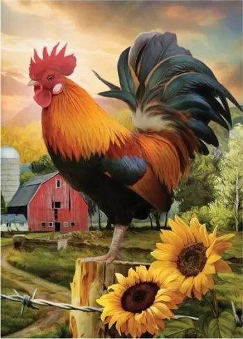 Set mozaik me diamante Norimpex Rooster On The Farm, kreativ, shumëngjyrësh