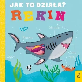 Libër fëmijësh Wilga Jak To Działa Rekin, ilustrime shumëngjyrëshe, kapak i fortë, shumengjyrësh