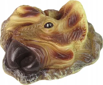 Set edukativ për gërmime dinozauri Triceratops, fosil realist, për fëmijë 6+ - 3