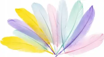 Pupla dekorative Brewis Goose Feathers, 15-20cm, ngjyra pastel