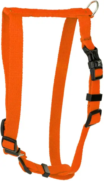 Shapllon qeni Barry King Classic, 16mm, 40-65cm, portokalli neon