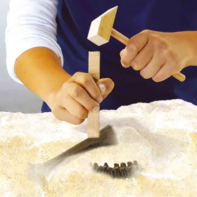 Set gërmimi dinosaurësh SES Creative 2 në 1 Triceratops, skelet dinosaur, për fëmijë - 3