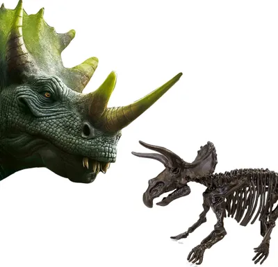 Set gërmimi dinosaurësh SES Creative 2 në 1 Triceratops, skelet dinosaur, për fëmijë - 5