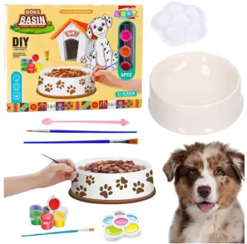 Set kreativ LEAN Toys Dog Bowl For Painting, 6 pjesë, DIY, shumëngjyrësh
