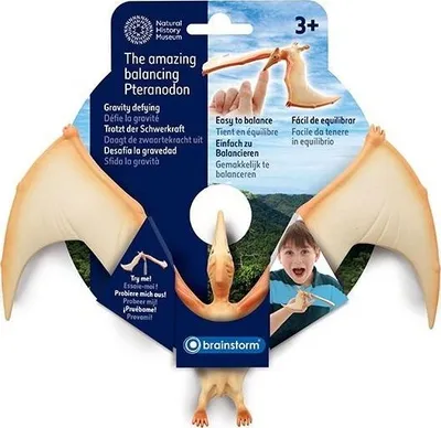 Lodër edukative Natural History Museum The Amazing Balancing Pteranodon, efekt ekuilibri, sfidim graviteti, shumëngjyrëshe - 1