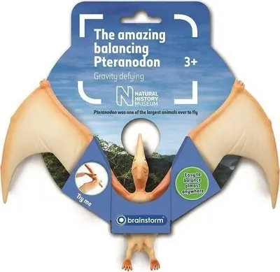 Lodër edukative Natural History Museum The Amazing Balancing Pteranodon, efekt ekuilibri, sfidim graviteti, shumëngjyrëshe - 2