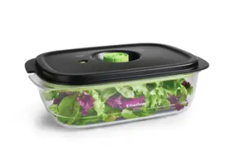 Enë vakum FoodSaver FFC024X, 2.3L, transparente