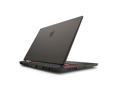 Pamja 3